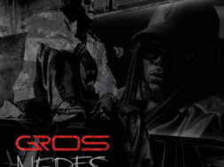 Tenor – Gros Nerfs (Lyrics + English Translation)