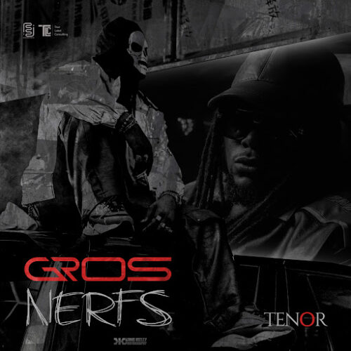 Tenor – Gros Nerfs (Lyrics + English Translation)
