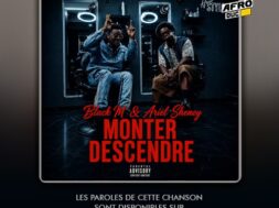 Black M ft. Ariel Sheney – Monter Descendre (Lyrics)