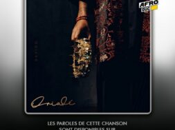 Davido – Gimme Dat Ting (Lyrics & Traduction)