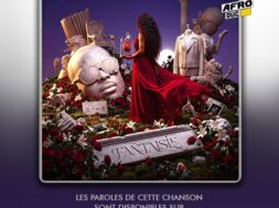 Gims – Fantaisie (Lyrics Paroles)