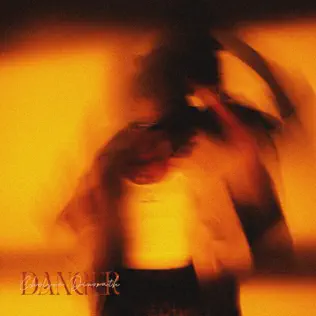 Chelsea Dinorath – Danger (Lyrics)
